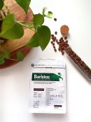 Chocolate Coffee